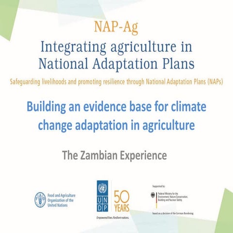 Building an evidence base for climate change adaptation in agriculture ...