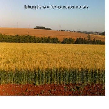 6 nicholson myco_key_ws_don_resistance_breeding_cereals