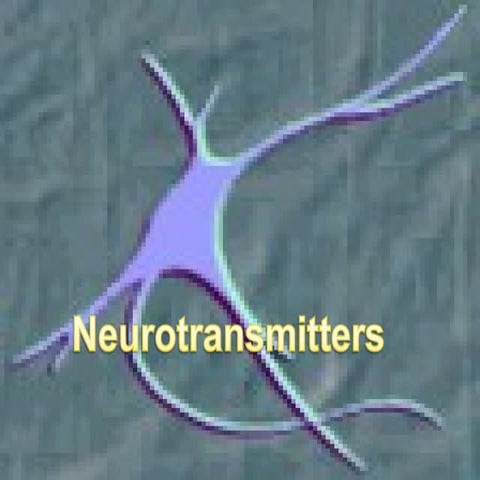 neuron structure and function
