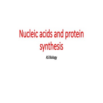 6 Nucleic acids and protein synthesis.pptx