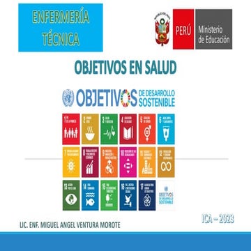 6 OBJETIVOS EN SALUD.pdf
