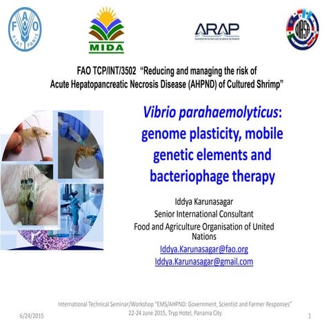 Presentation 6: Vibrio parahaemolyticus: genome plasticity, mobile genetic el...