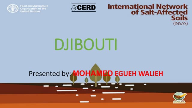 The status of salt-affected soils in Africa with a focus on Djibouti