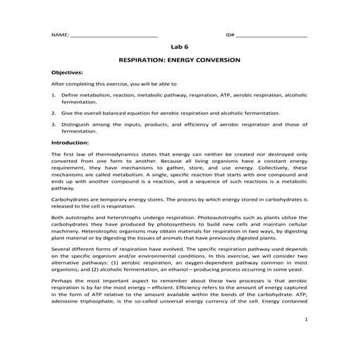 6 respiration -_energy_conversion