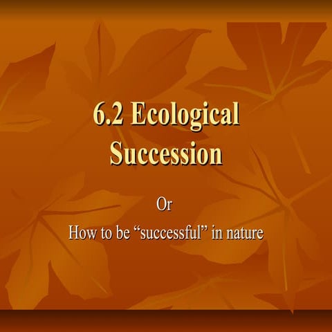 6sec 2 ecology