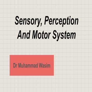 sensory and motor systems | PPTX
