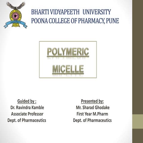Polymeric Micelle