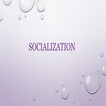 6 socialization bed honors