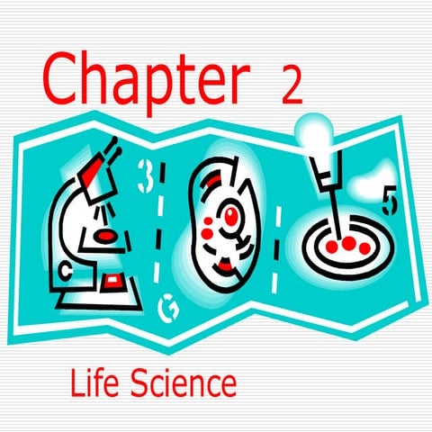 6th Grade  Chapter 2