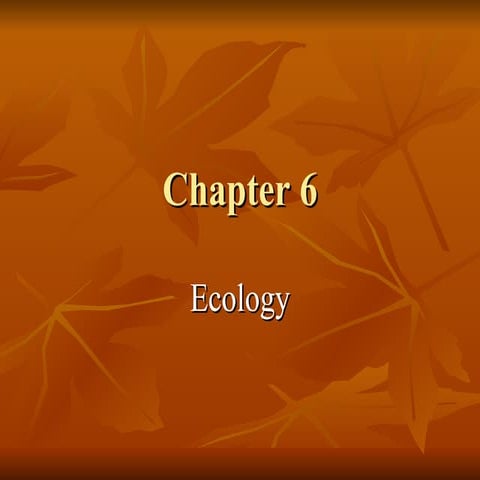 6th Grade  Chapter 6