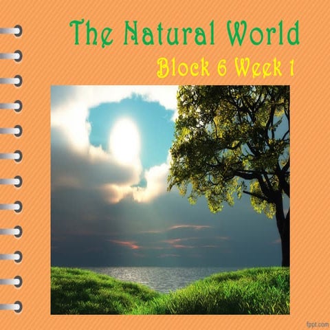 6th block 6 vocabulary part 1