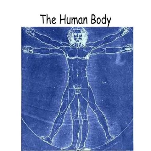 6)The Human Body