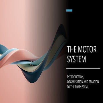 6 The Motor System physiology slides.pptx