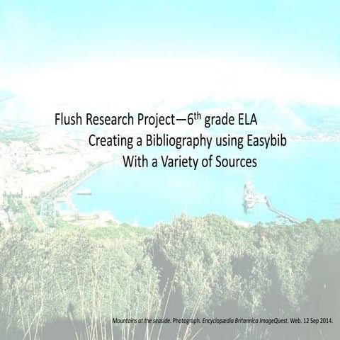6th grade ELA Easybib project for Flush