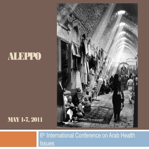 Greater Aleppo urban planning 1 | PDF