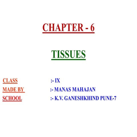 6tissues.ppt 