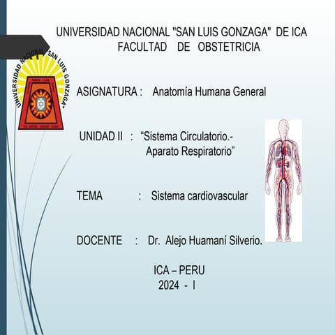 - ProteAnatomíaína-creatina-explicacion detallada del mismo