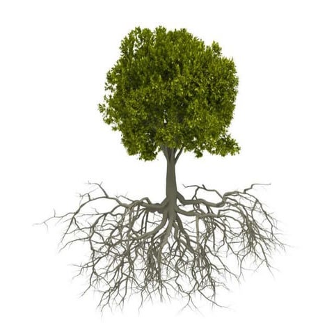 Get Connected and Dynamics of Change with Tor Eneroth and Niran Jiang