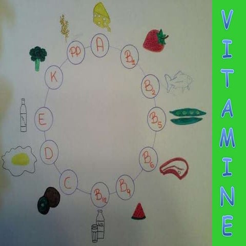 6 vitamine e sali minerali