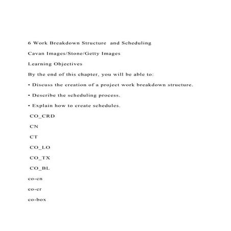 6 Work Breakdown Structure  and SchedulingCavan ImagesSto.docx