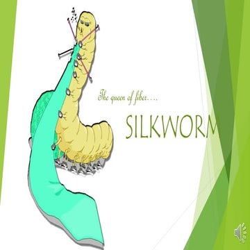 LIFE CYCLE of silkworm
