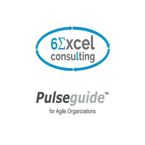 6 xl pulse_agility