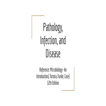 Stages of Infection | PPTX