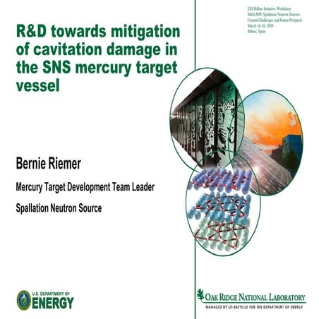 ESS-Bilbao Initiative Workshop. R&D Towards mitigation of cavitation damage i...