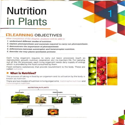 Nutrition in Animals