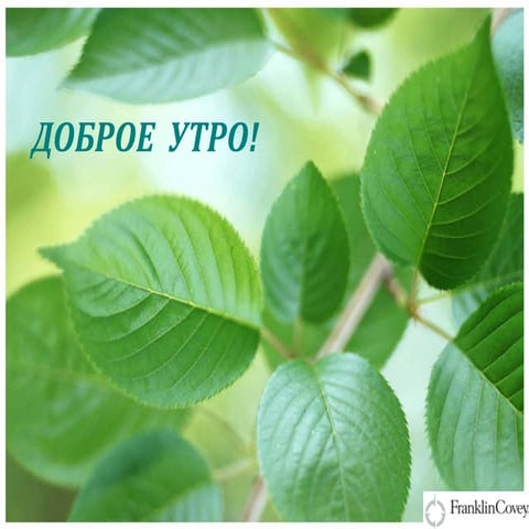 7 навыков высокоэффективных тинейджеров