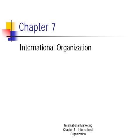International Organizations