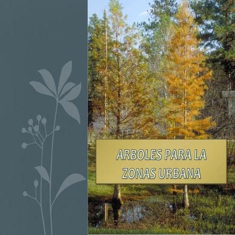 7.2.2 arboles para la zonas urbana  etica
