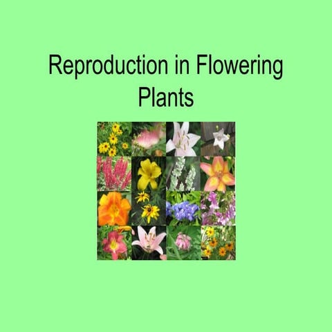 7. Reproduction in flowering plants - Part 2