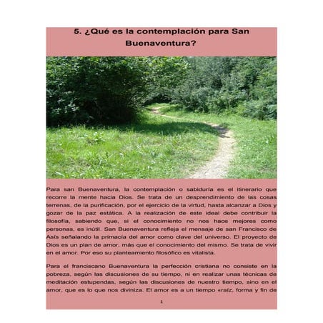 7. qué es la contemplación para san buenaventura