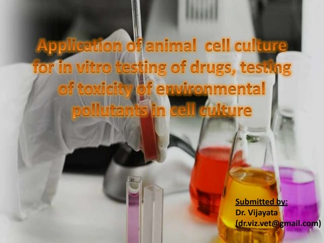 In vitro testing of drug toxicity