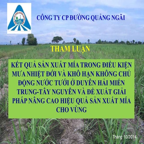 Giải pháp nâng cao hiệu quả sản xuất mía cho KV Miền Trung - Mía đường Quảng Ngãi