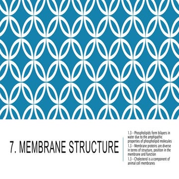 7. membrane structure