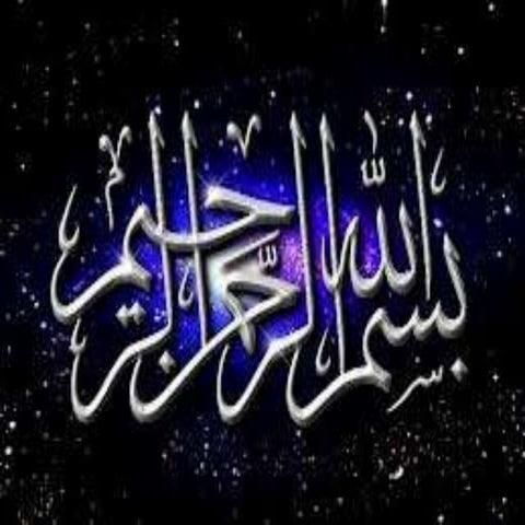 7. medicinal plants grown organically By Allah Dad khan 