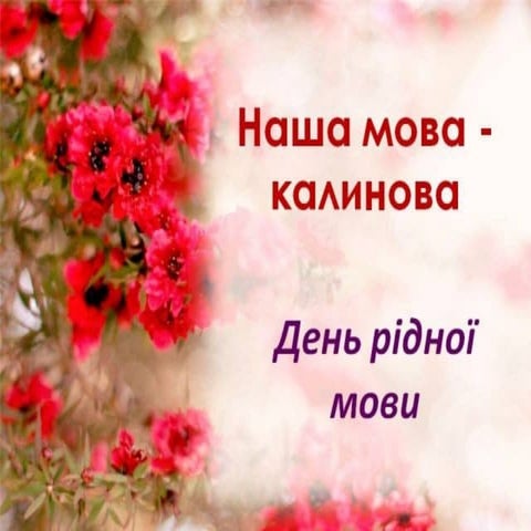 свято рідної мови 7 а клас