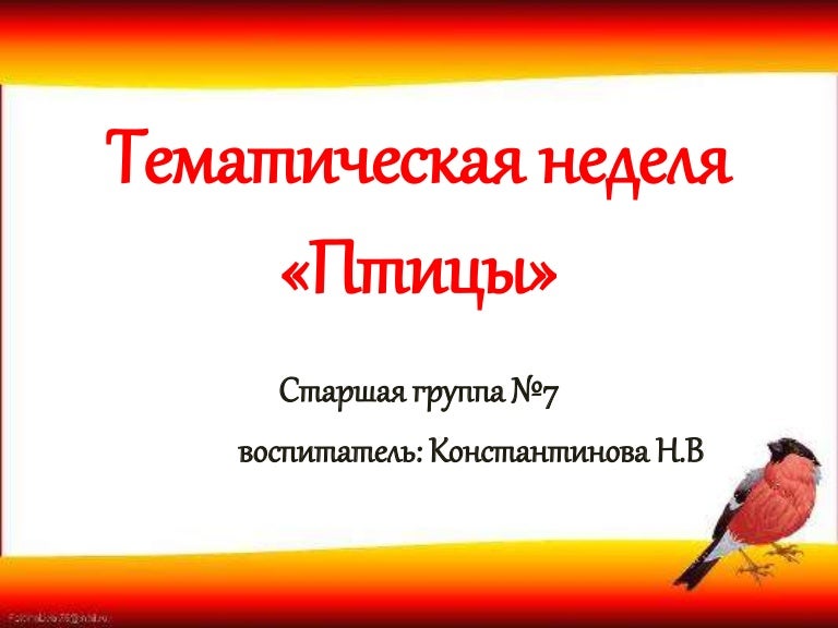 тема птицы наши друзья. пернатые друзья. день недели птиц. птицы наши друзья. как можно оформить титульник про мир птиц.