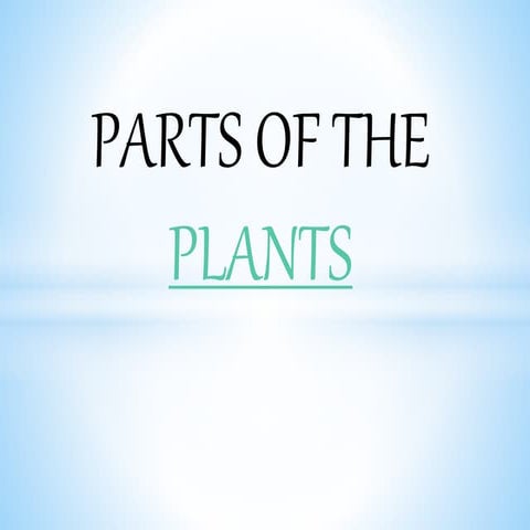 PARTS OF THE PLANTS xx