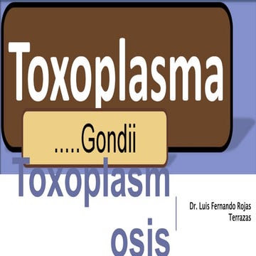 Toxoplasmosis