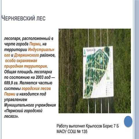  Черняевский лес