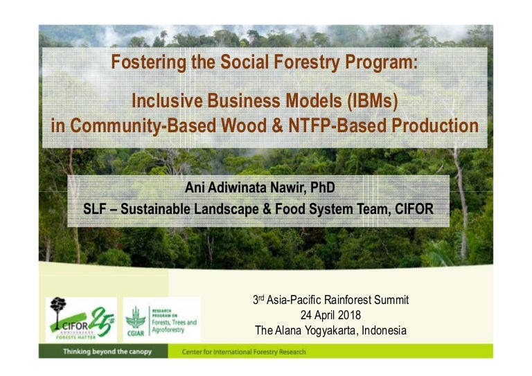 thumbnail of  Fostering the social forestry program: Inclusive business models (IBMs) in community-based wood & NTFP-based production
