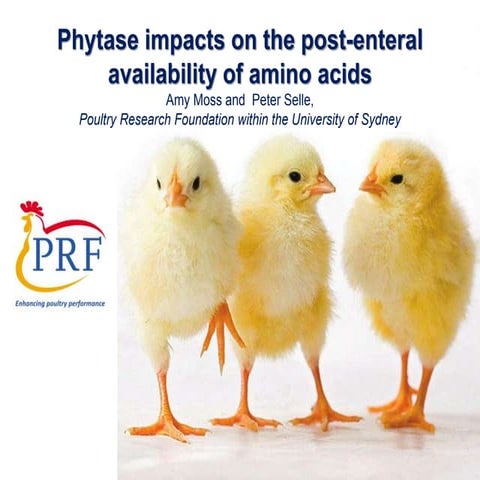 7. Friday Monogastric Sessions dr peter selle   university of sydney - phytas...