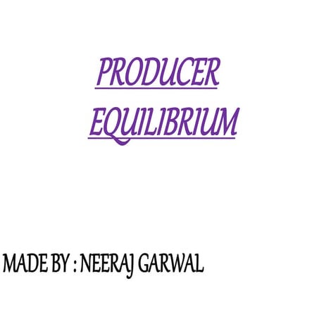 Producer Equilibrium