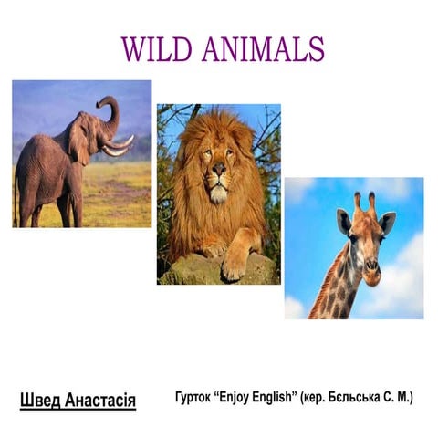 WILD ANIMALS