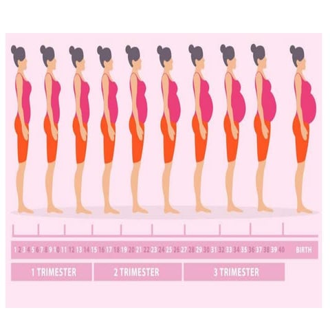 Physiological changes in Pregnancy