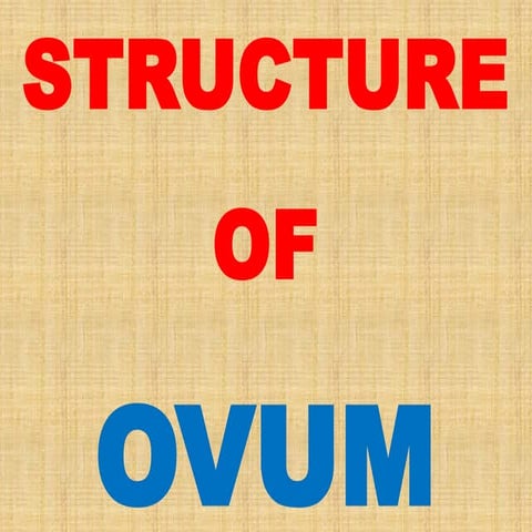 Structure of Ovum