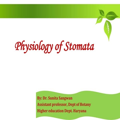 Physiology of stomata